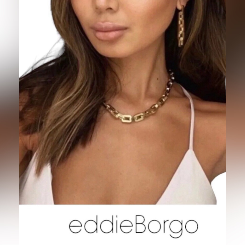 Eddie Borgo Chain Link Earrings